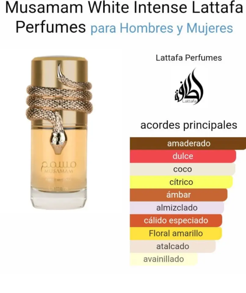 Captura de pantalla 2025-09-14 191557.webp