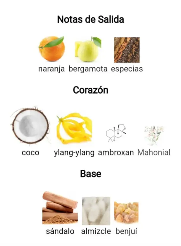 Captura de pantalla 2025-09-14 191613.webp