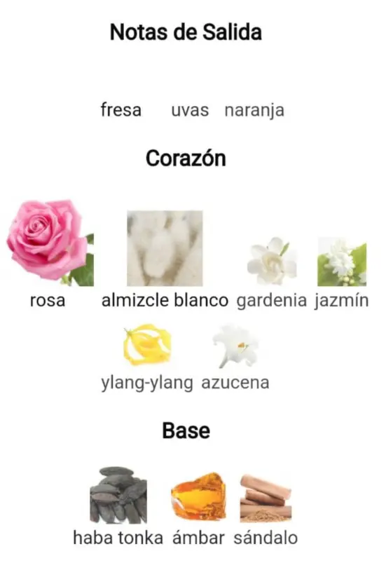 Captura de pantalla 2025-09-13 194750.webp