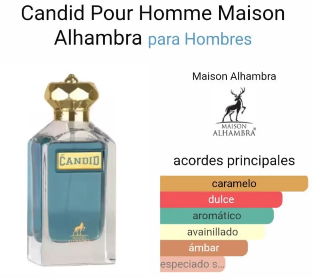 Captura de pantalla 2025-09-13 194018.webp