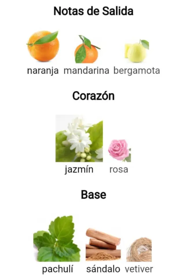 Captura de pantalla 2025-09-13 193529.webp