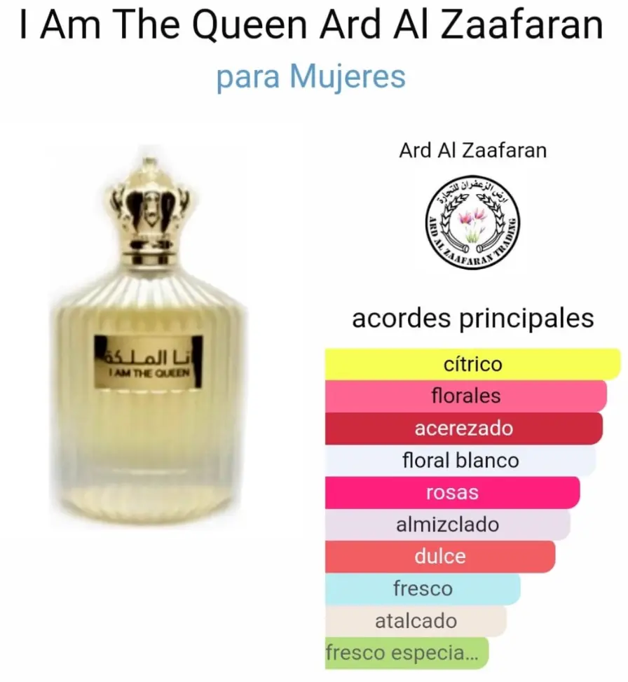 Captura de pantalla 2025-09-13 192738.webp