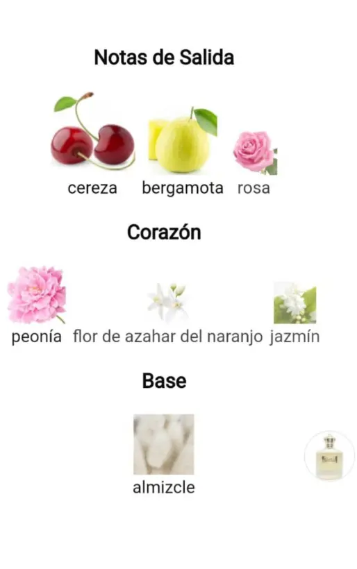 Captura de pantalla 2025-09-13 192749.webp