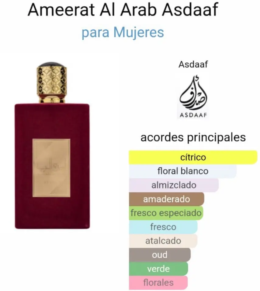 Captura de pantalla 2025-09-14 200741.webp