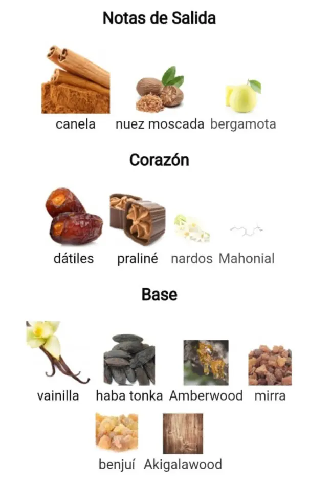 Captura de pantalla 2025-09-13 192303.webp