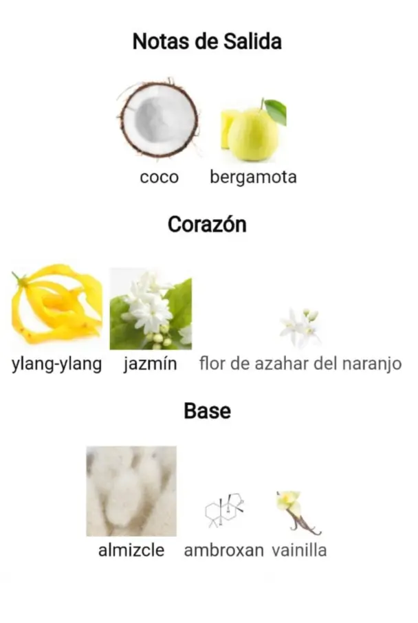 Captura de pantalla 2025-09-13 191618.webp