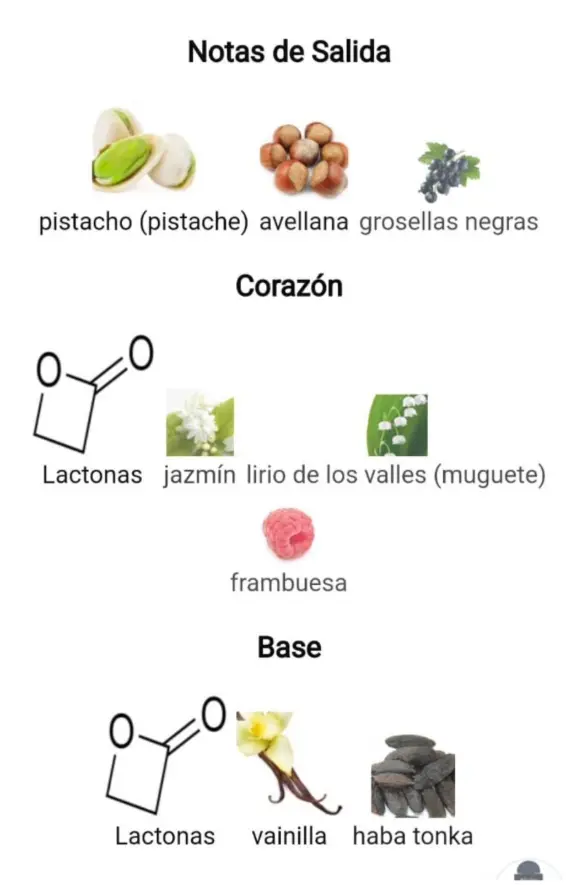 Captura de pantalla 2025-09-13 191251.webp