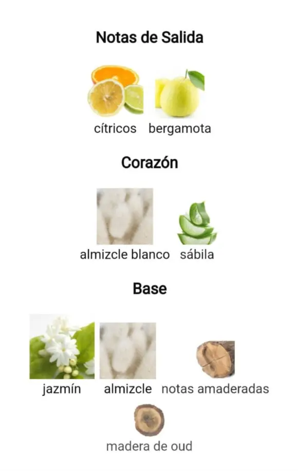 Captura de pantalla 2025-09-14 200755.webp